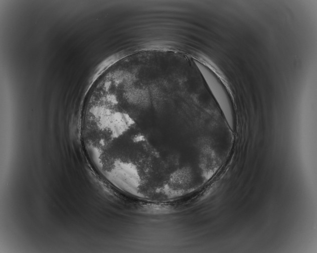 X0000082970994200703020230