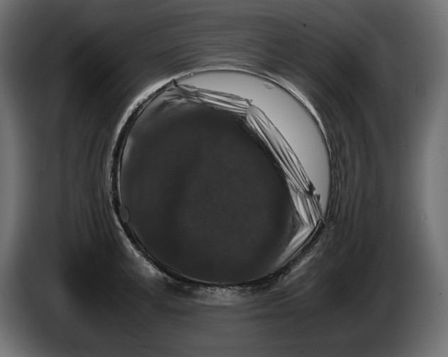 X0000082970995200703020230
