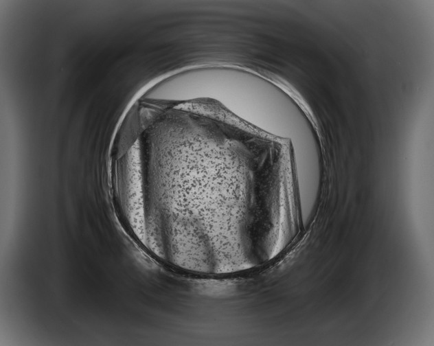 X0000082970996200703020230