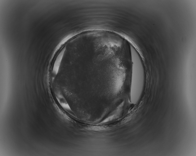 X0000082970998200703020230