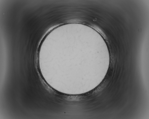 X0000082971000200703020230