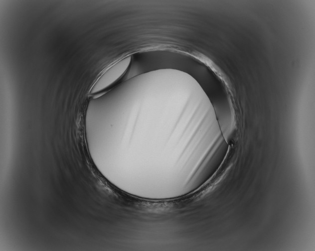 X0000082971001200703020230