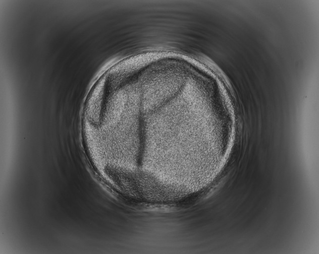 X0000082971002200703020230