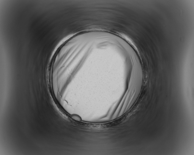 X0000082971003200703020230