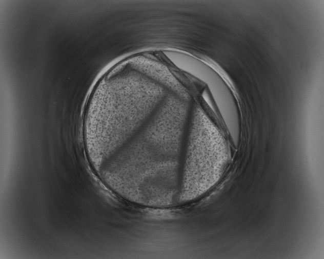X0000082971004200703020230
