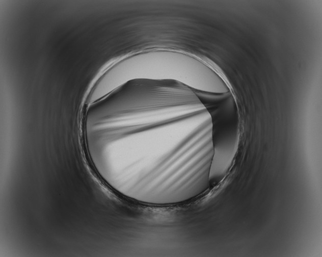 X0000082971005200703020230