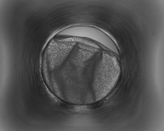 X0000082971006200703020230