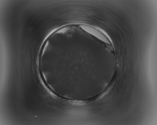 X0000082971007200703020230