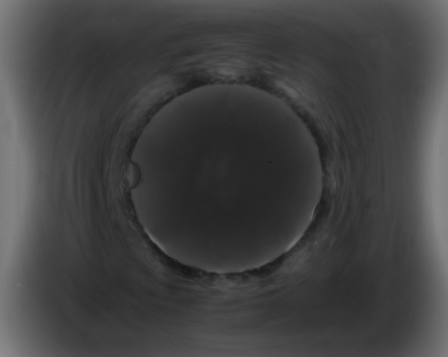 X0000082971009200703020229