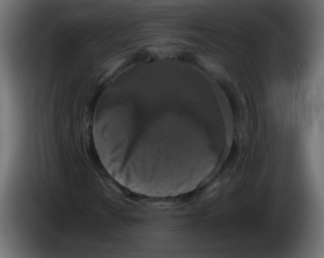 X0000082971010200703020229