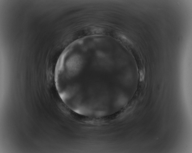 X0000082971011200703020229