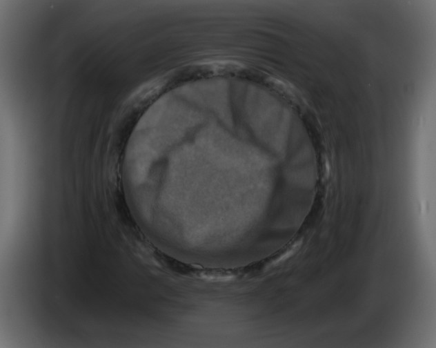 X0000082971014200703020229