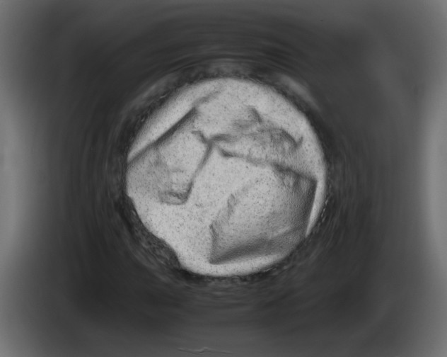 X0000082971015200703020229