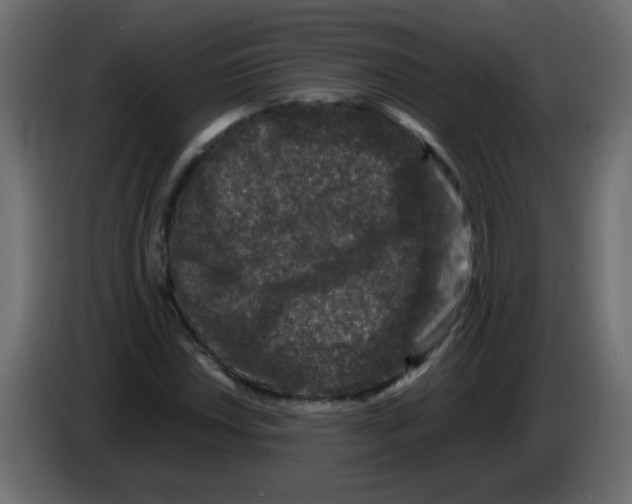 X0000082971018200703020229