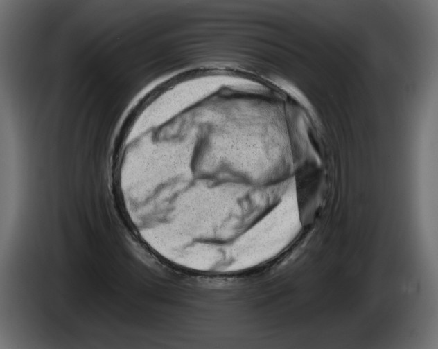 X0000082971020200703020230