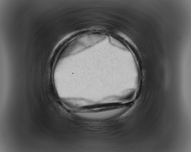 X0000082971021200703020230