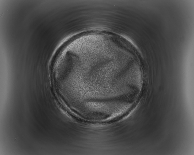 X0000082971022200703020230