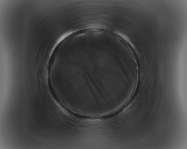 X0000082971024200703020230