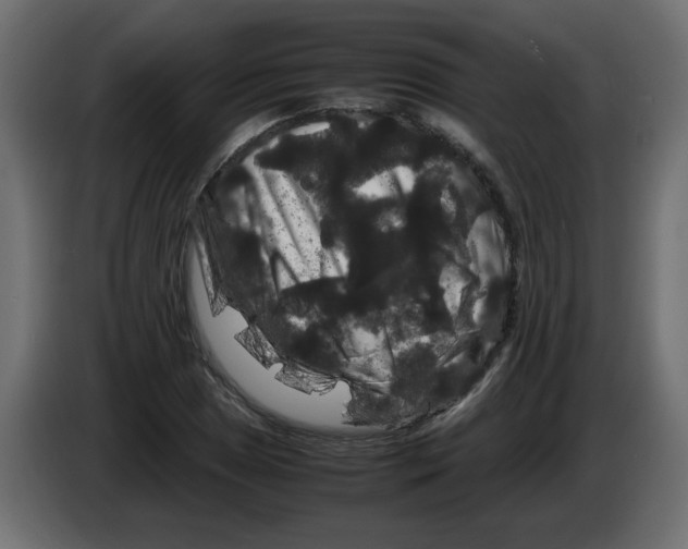 X0000082971025200703020230