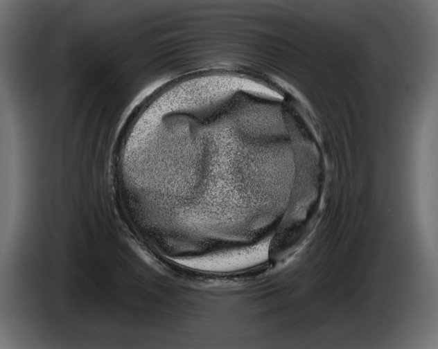 X0000082971026200703020230