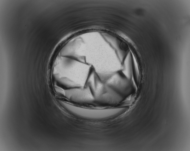 X0000082971029200703020230