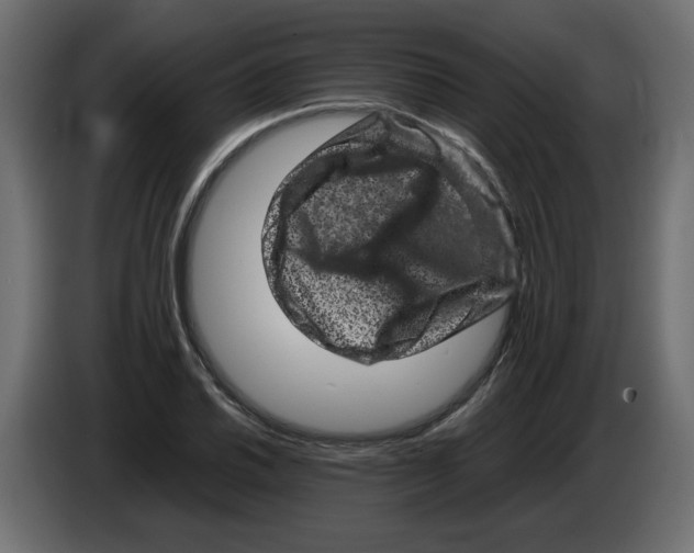X0000082971030200703020230