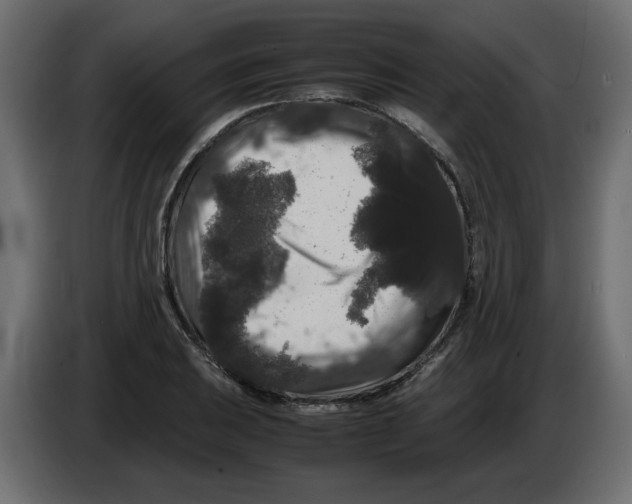 X0000082971031200703020230