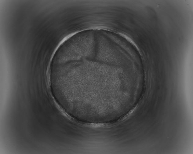 X0000082971032200703020230