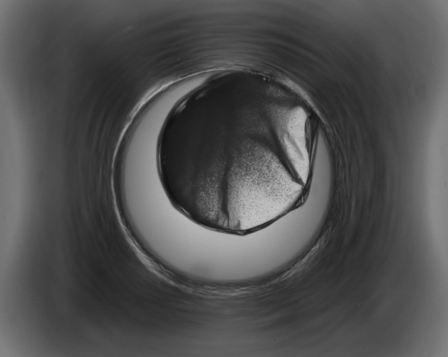 X0000082971034200703020230