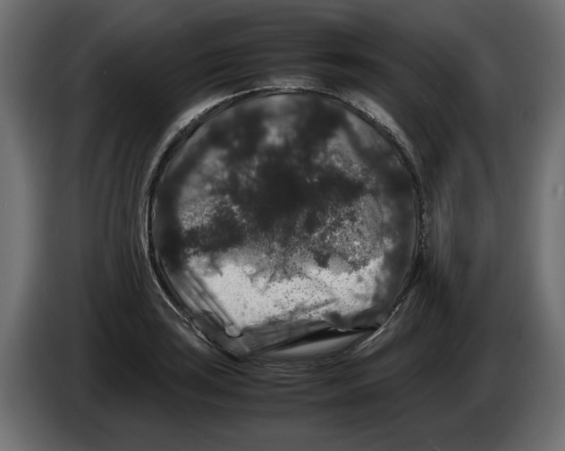 X0000082971035200703020230