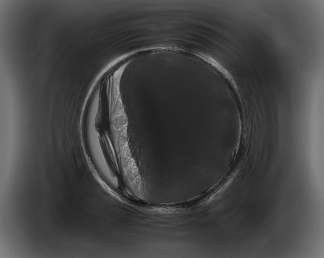 X0000082971037200703020230
