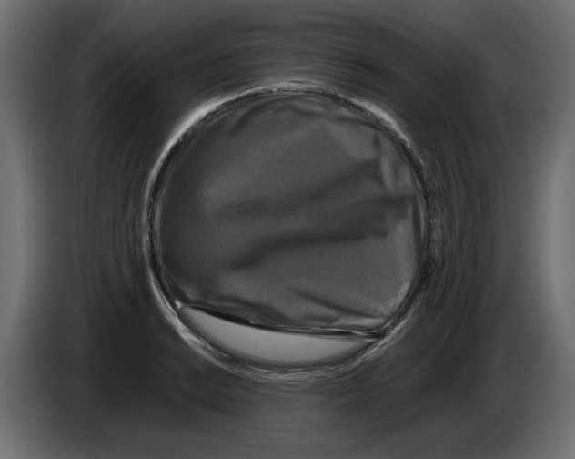 X0000082971038200703020230