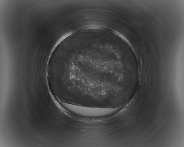 X0000082971042200703020230