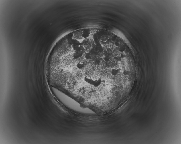 X0000082971043200703020230