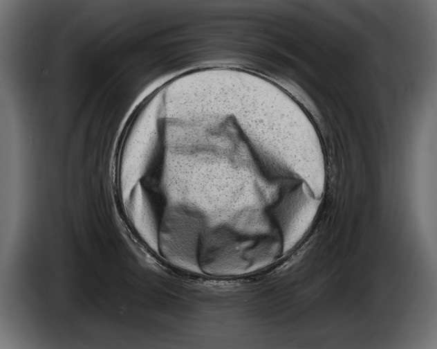X0000082971044200703020230