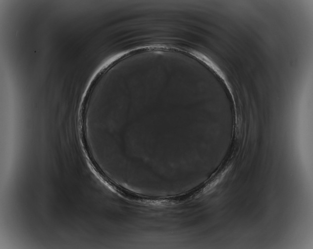 X0000082971045200703020230