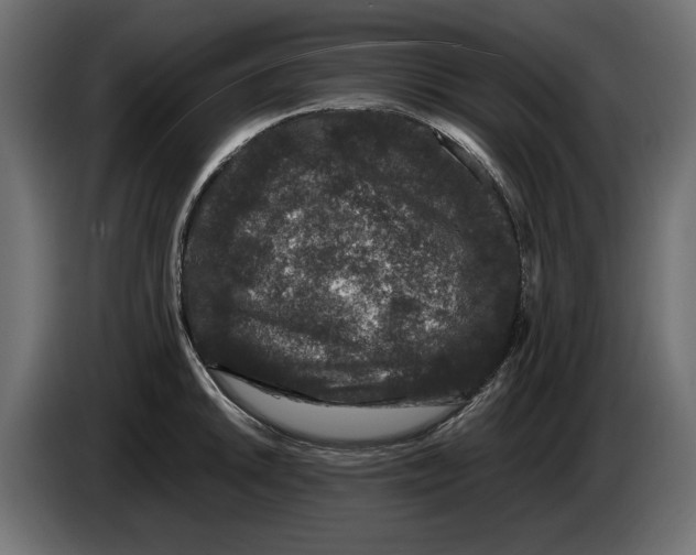 X0000082971046200703020230