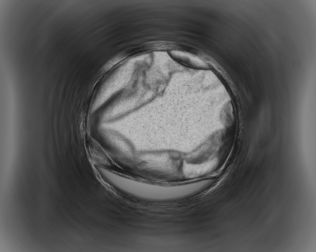 X0000082971049200703020230