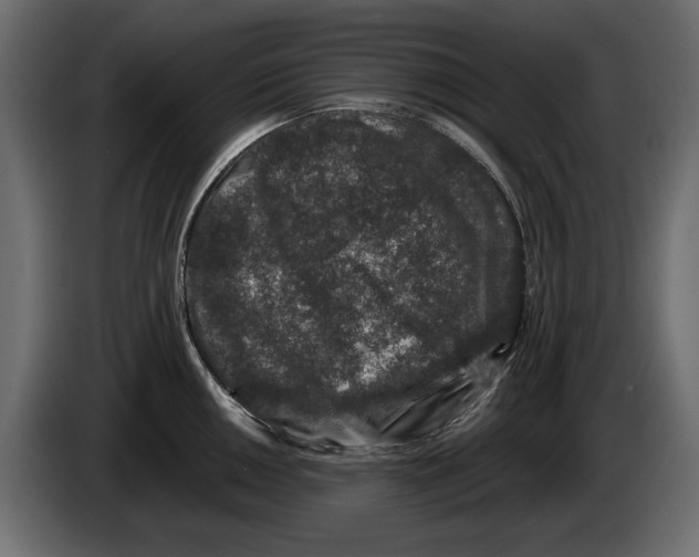 X0000082971050200703020230