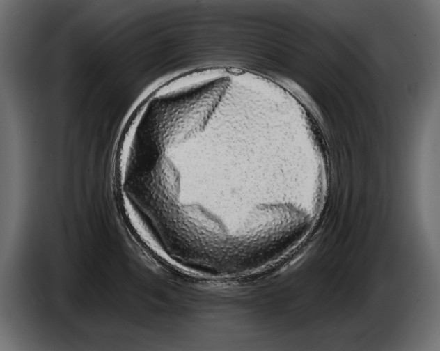X0000082971052200703020230