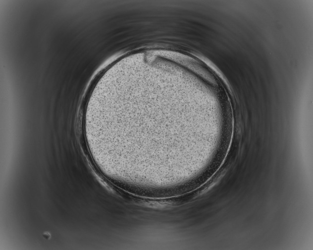 X0000082971053200703020230