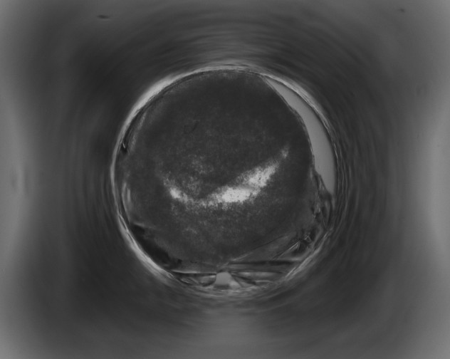 X0000082971054200703020230