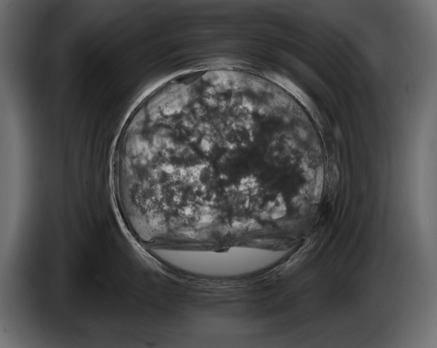 X0000082971055200703020230