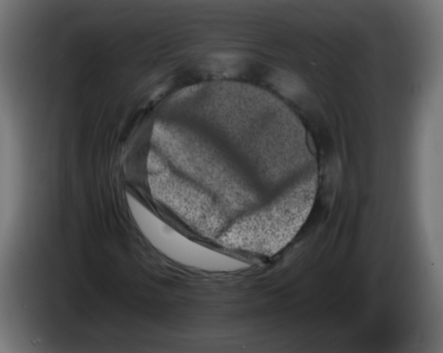 X0000082971058200703020229