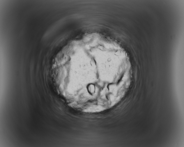 X0000082971059200703020229