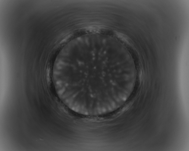 X0000082971060200703020229