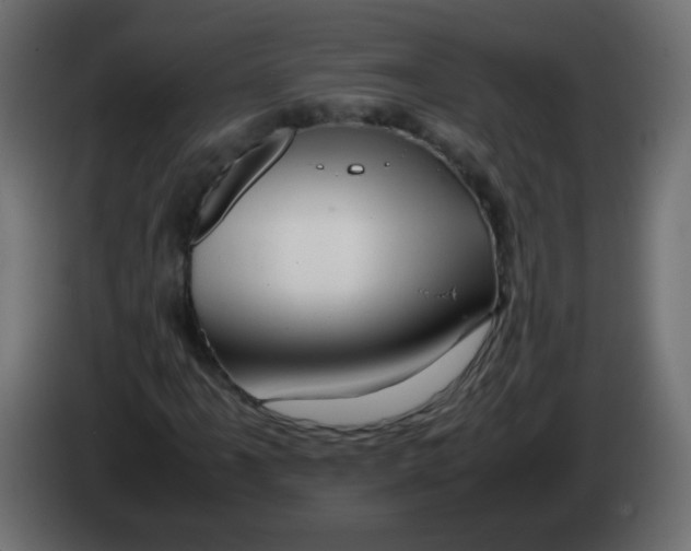 X0000082971061200703020229