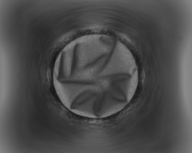 X0000082971062200703020229