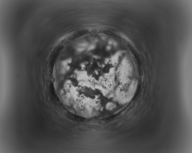 X0000082971063200703020229