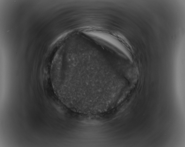 X0000082971064200703020229